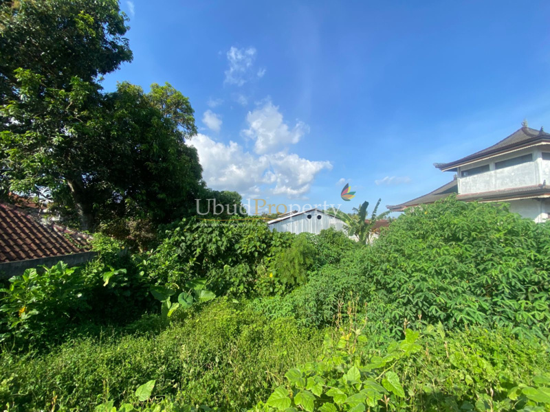Ubud Property Land For Sale in Ubud Bali