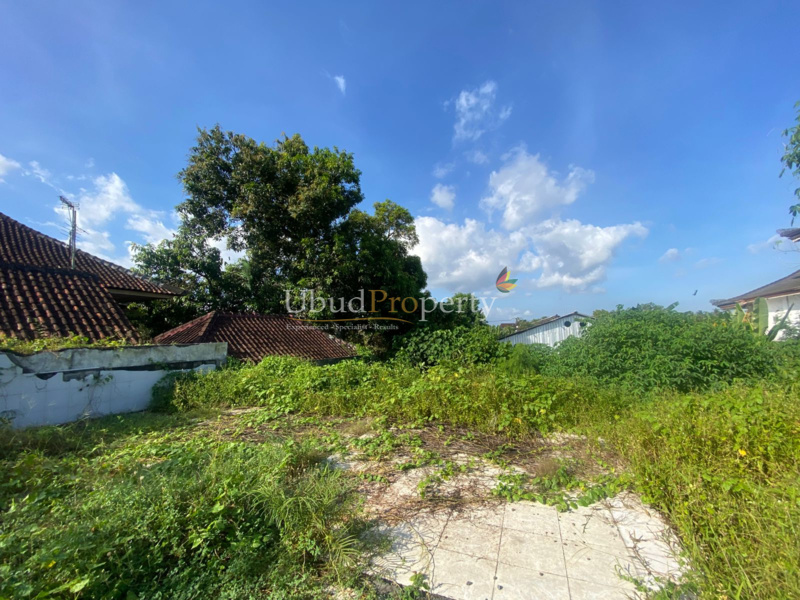Ubud Property Land For Sale in Ubud Bali