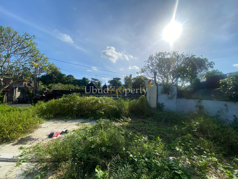 Ubud Property Land For Sale in Ubud Bali