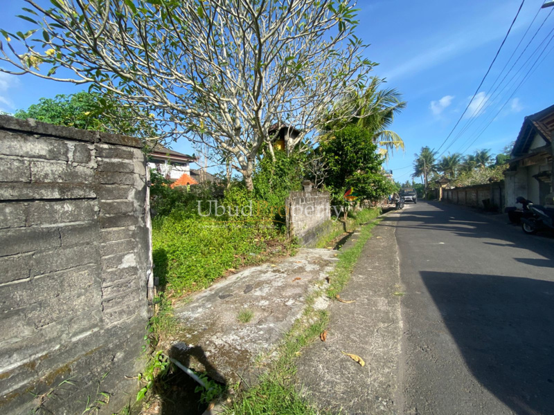 Ubud Property Land For Sale in Ubud Bali
