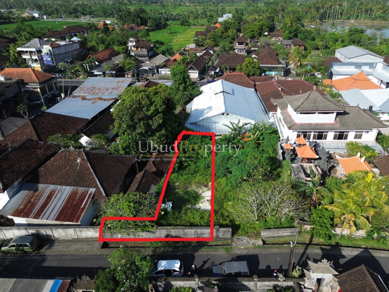 Ubud Property Land For Sale in Ubud Bali