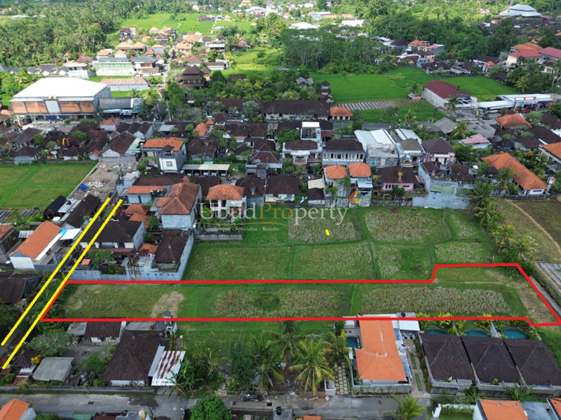 LLU.220