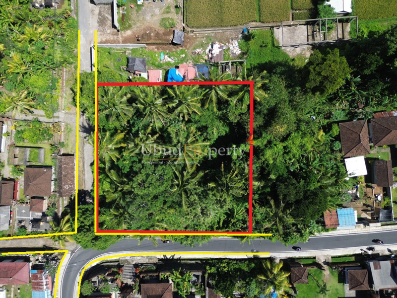 Land For Sale Freehold in Ubud Bali