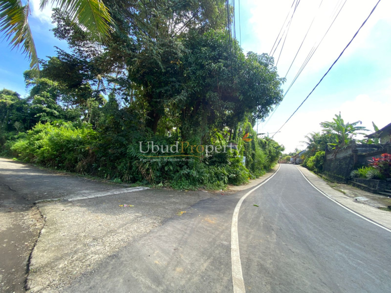 Ubud Property Land For Sale in Ubud Bali