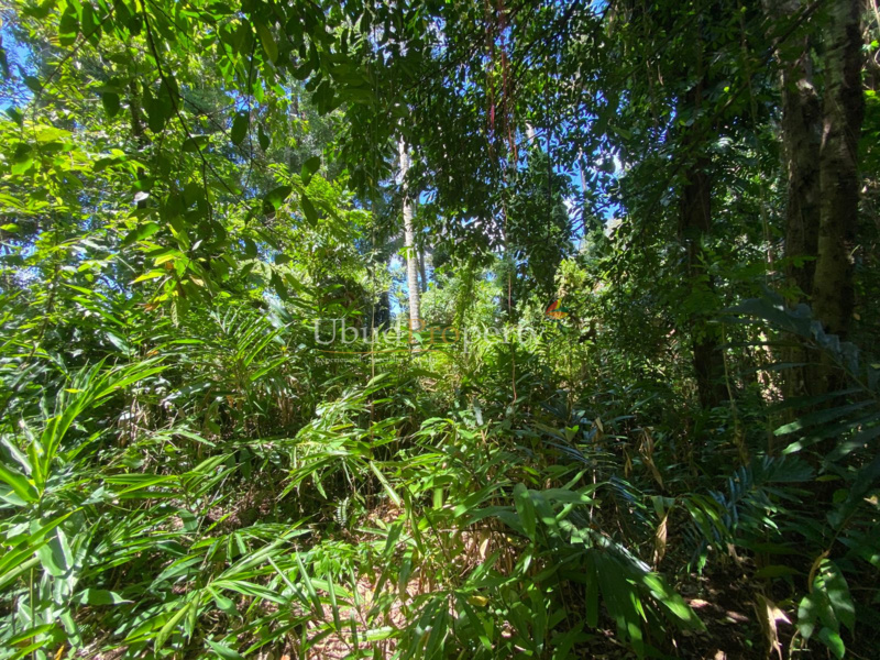 Ubud Property Land For Sale in Ubud Bali