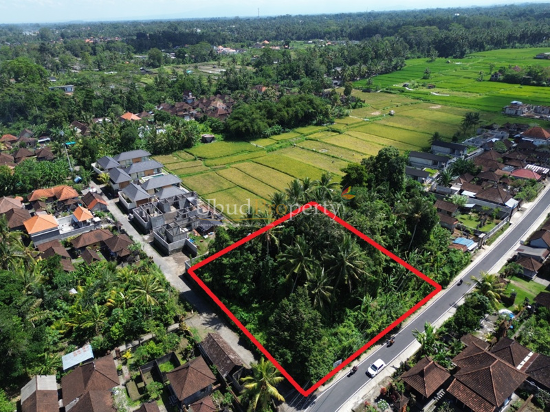 Ubud Property Land For Sale in Ubud Bali