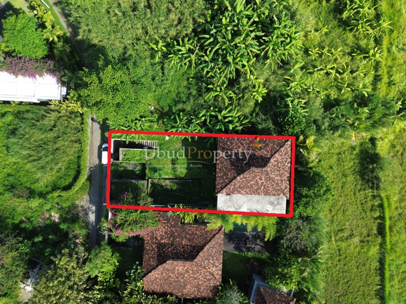 Land For Sale Freehold in Ubud Bali