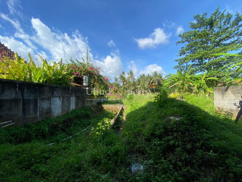 Ubud Property Land For Sale in Ubud Bali