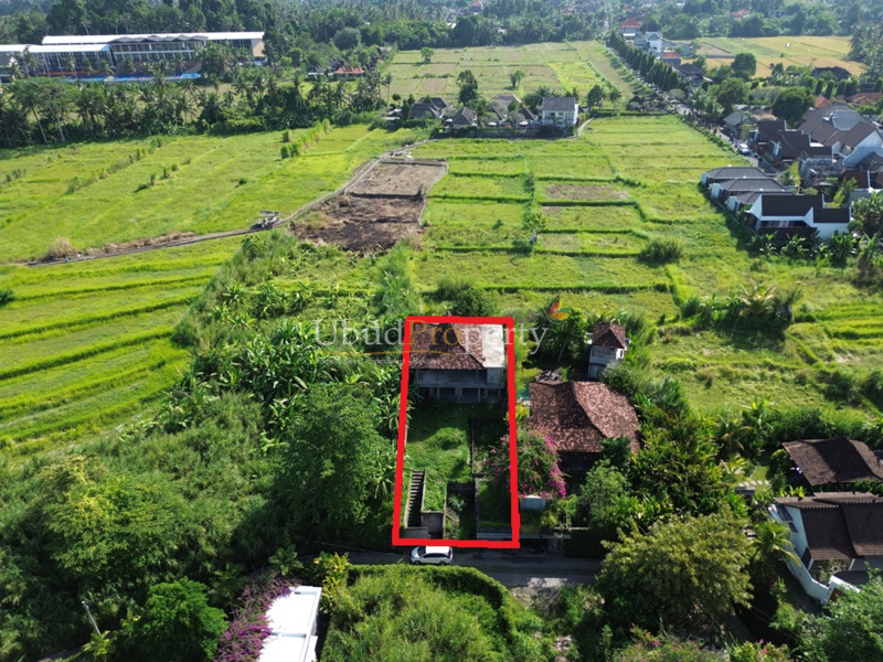 Ubud Property Land For Sale in Ubud Bali