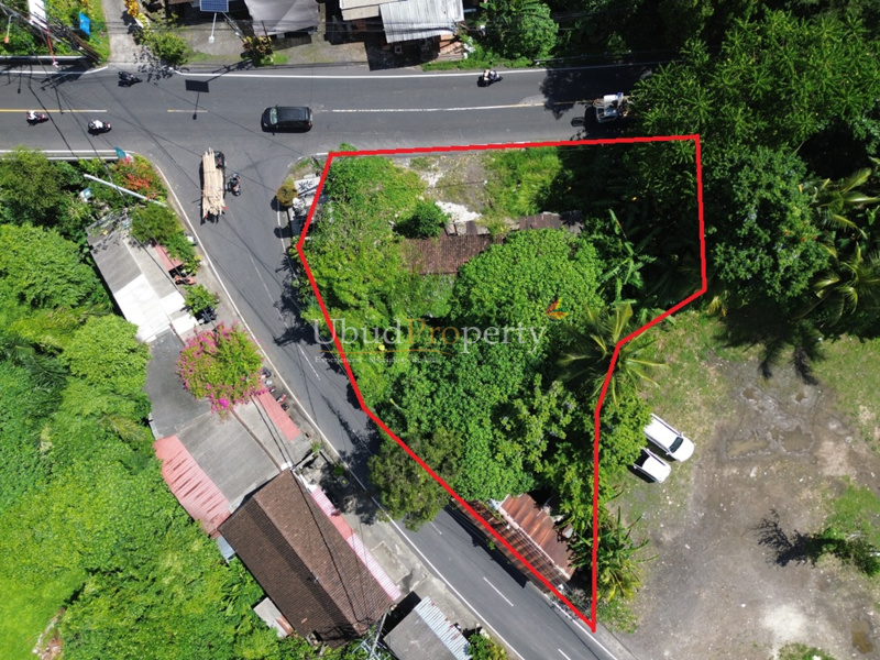 Land For Sale Freehold in Ubud Bali