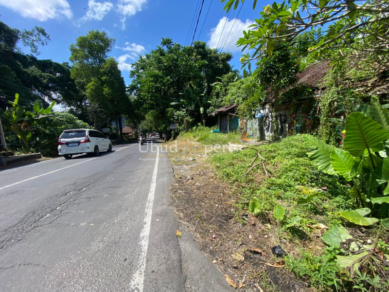 Ubud Property Land For Sale in Ubud Bali