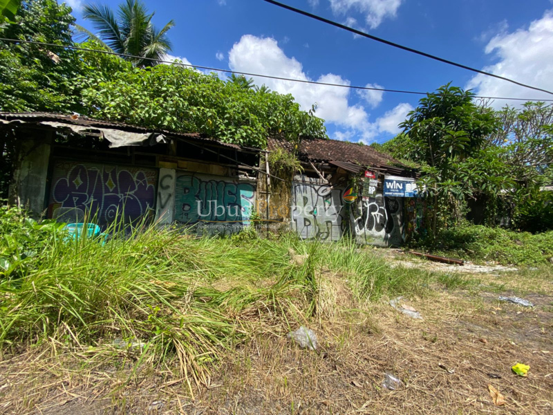 Ubud Property Land For Sale in Ubud Bali