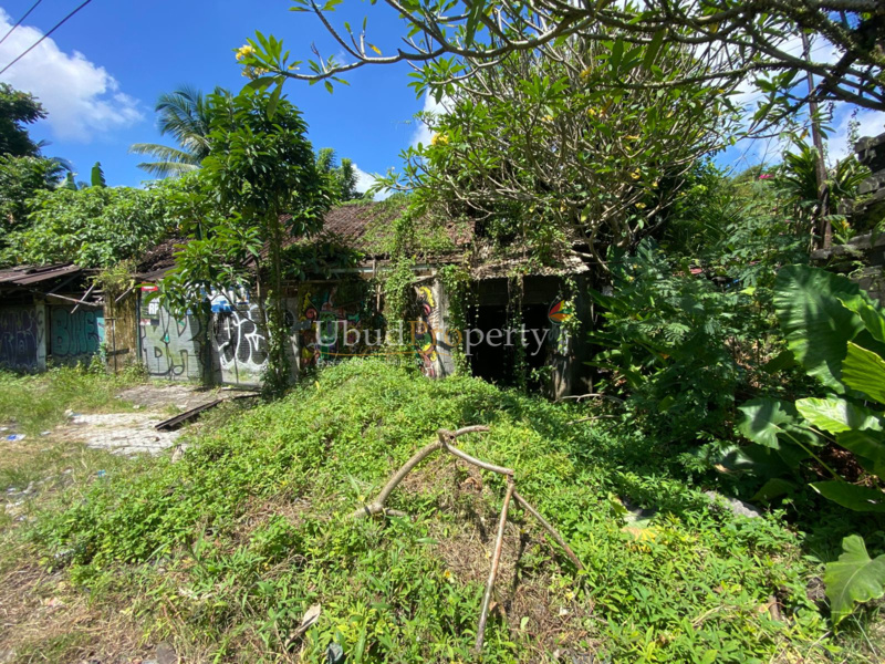 Ubud Property Land For Sale in Ubud Bali