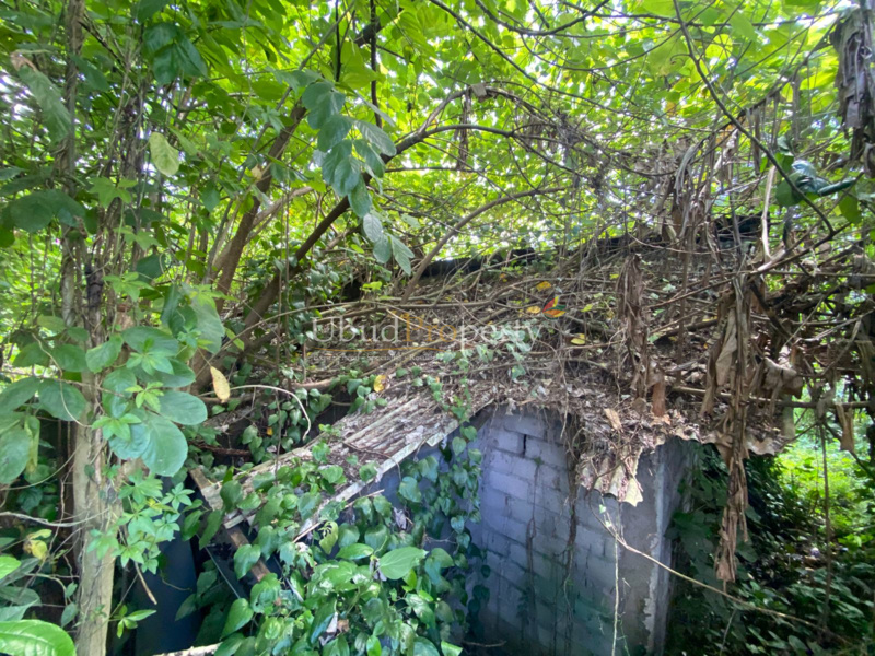 Ubud Property Land For Sale in Ubud Bali