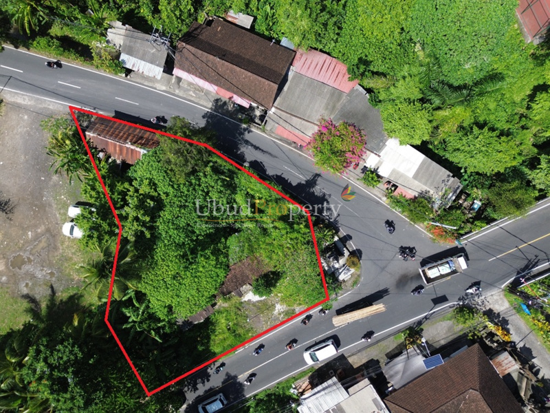 Ubud Property Land For Sale in Ubud Bali
