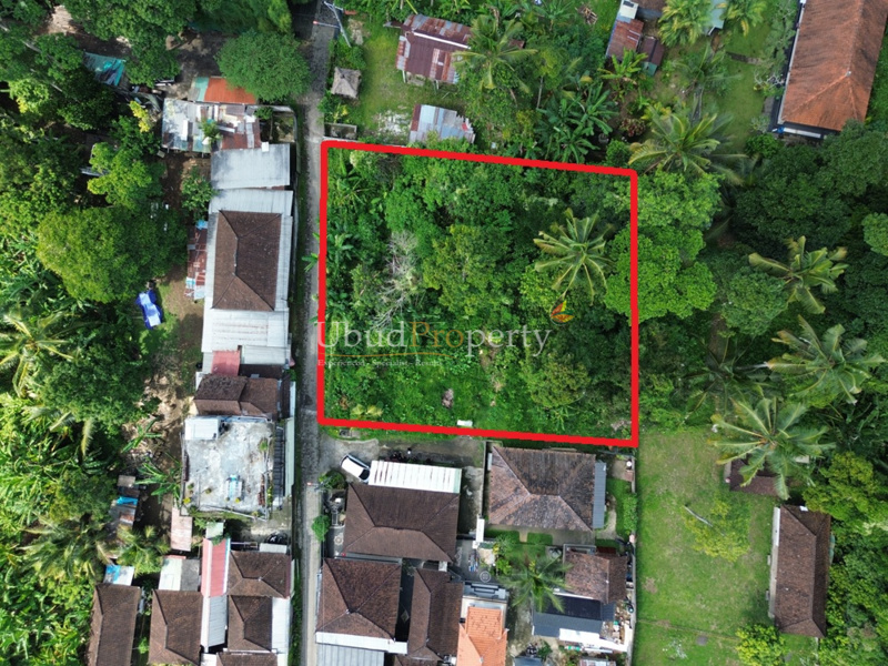 Land For Sale Freehold in Ubud Bali