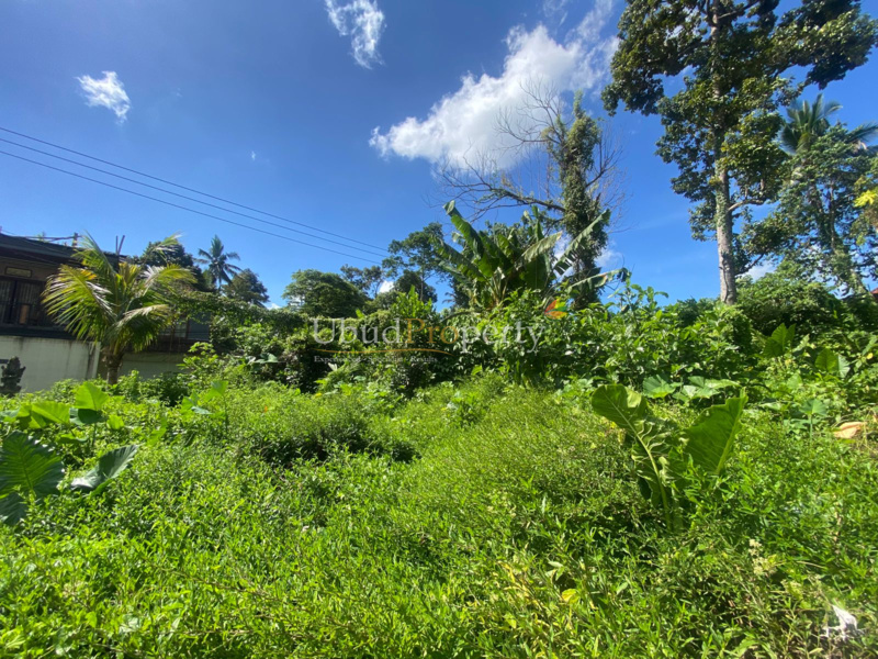 Ubud Property Land For Sale in Ubud Bali