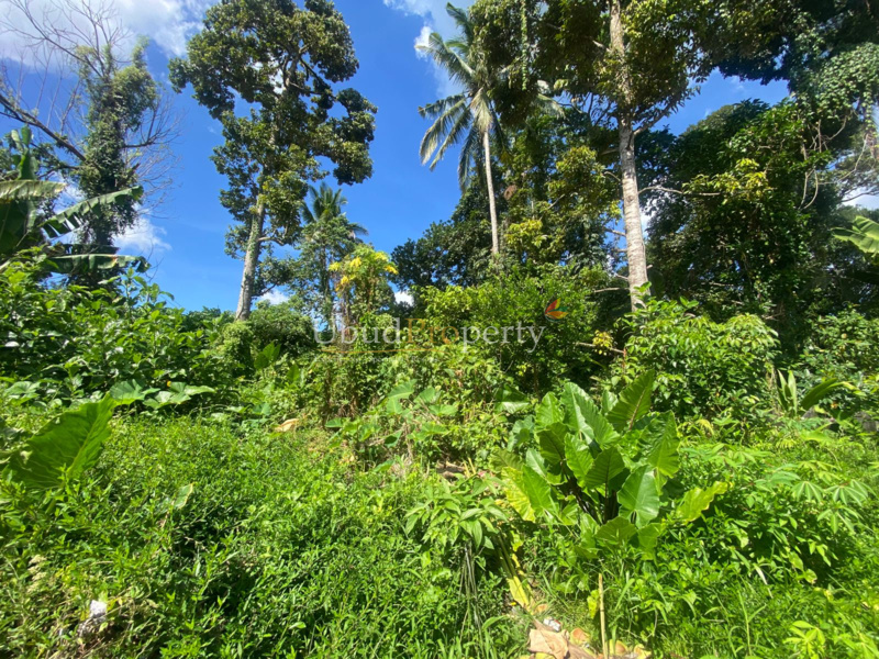 Ubud Property Land For Sale in Ubud Bali