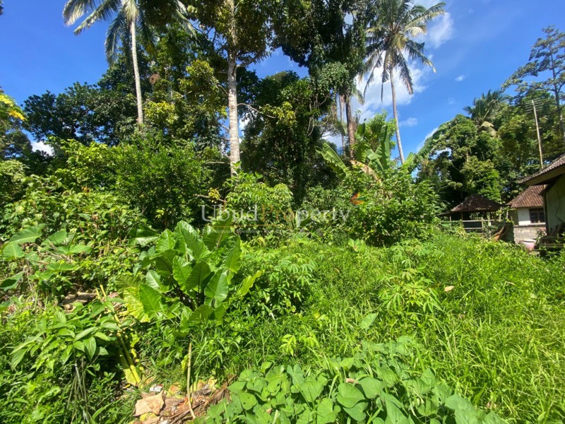 Ubud Property Land For Sale in Ubud Bali