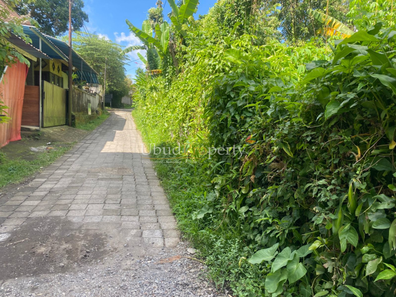 Ubud Property Land For Sale in Ubud Bali