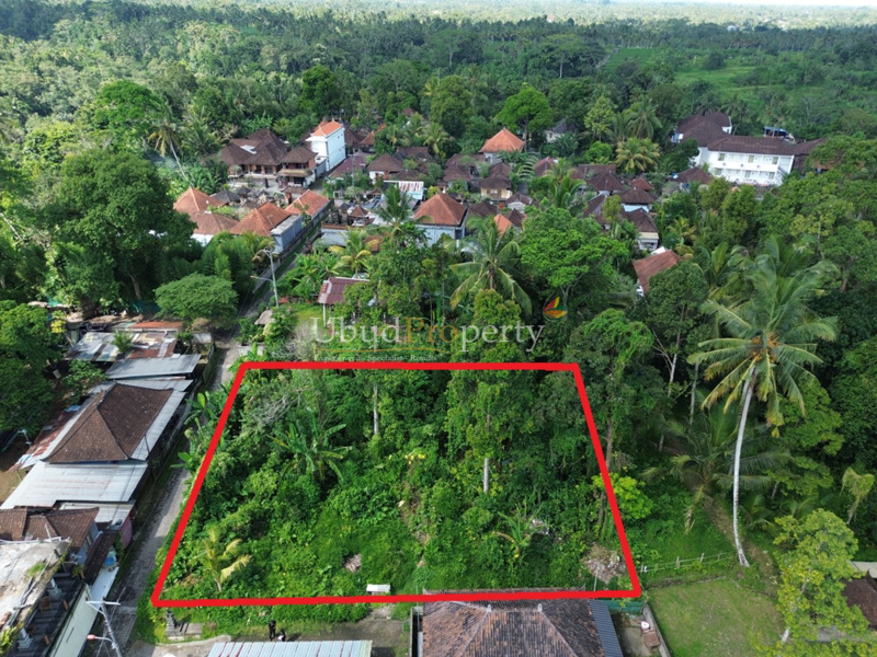 Ubud Property Land For Sale in Ubud Bali
