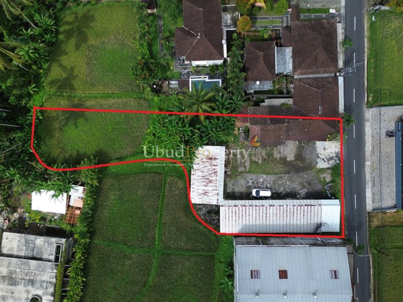 Land For Sale Freehold in Ubud Bali