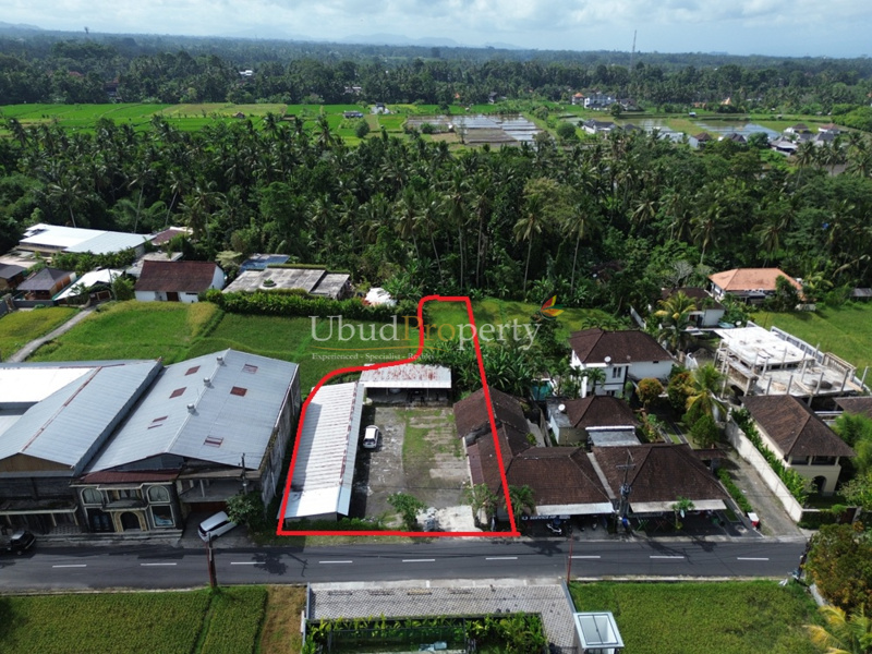 Ubud Property Land For Sale in Ubud Bali