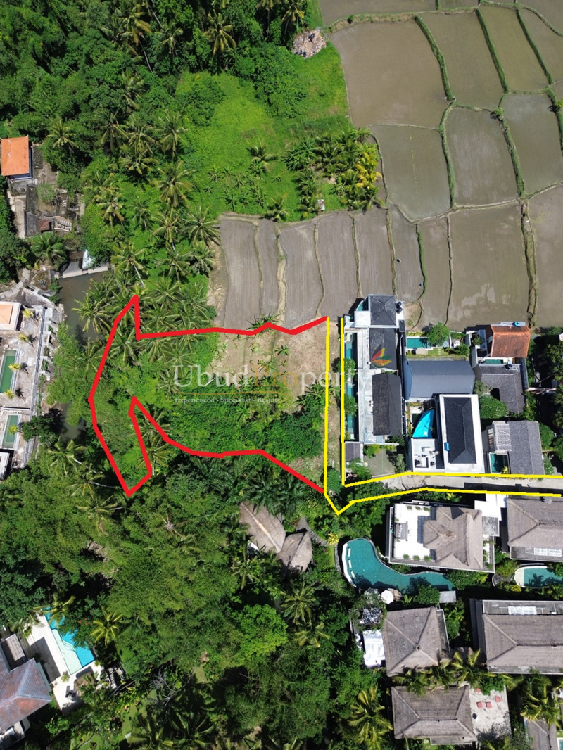 Land For Sale Freehold in Ubud Bali