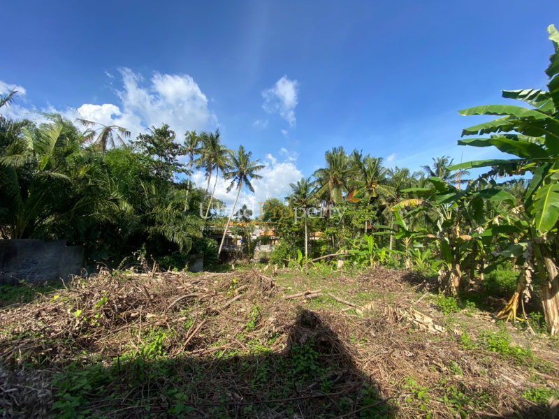 Ubud Property Land For Sale in Ubud Bali