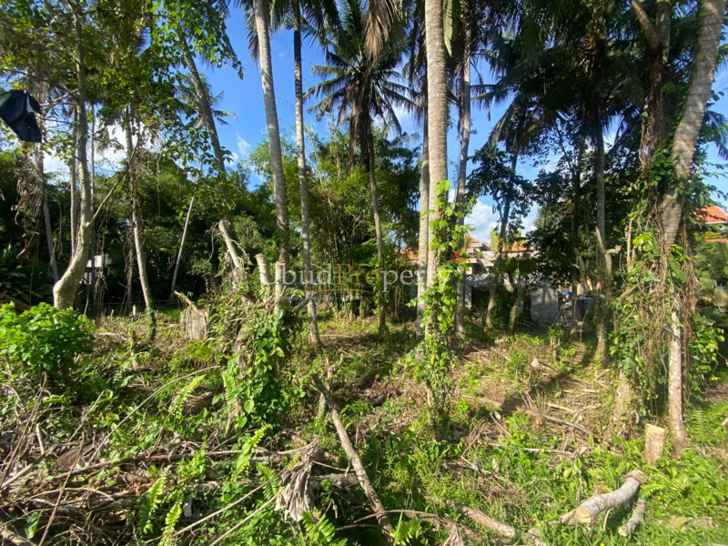 Ubud Property Land For Sale in Ubud Bali
