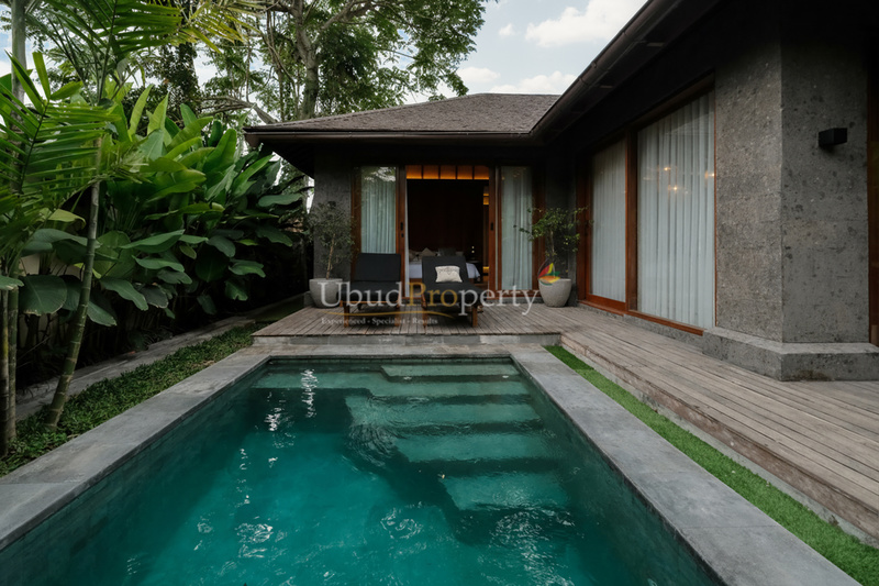 Ubud Property Villa For Sale in Ubud Bali