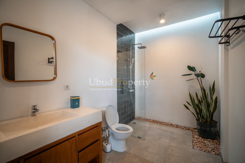Ubud Property Villa For Sale in Ubud Bali