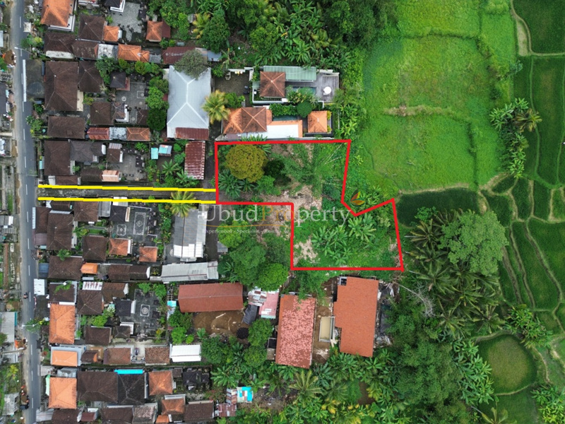 Land For Sale Freehold in Ubud Bali