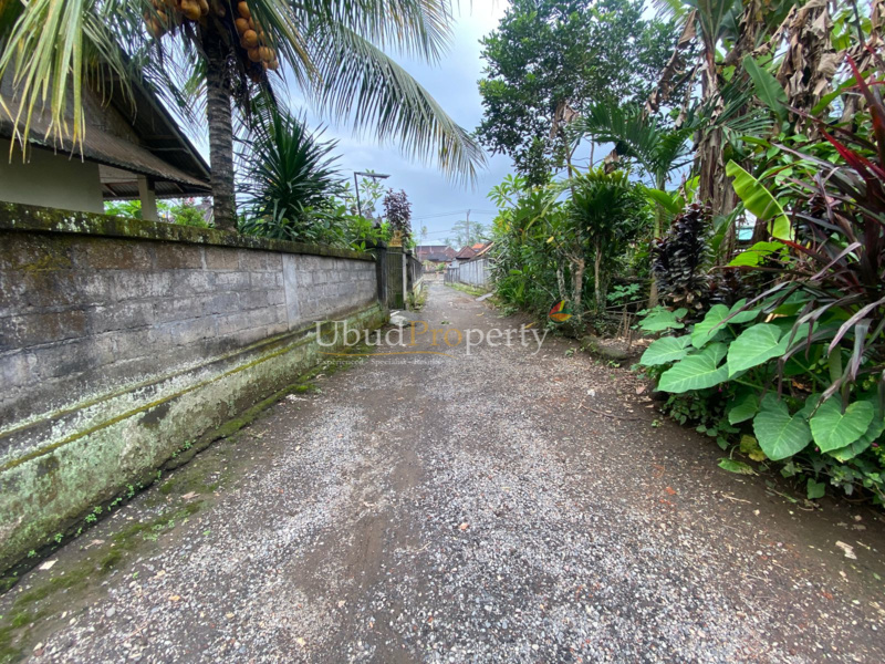 Ubud Property Land For Sale in Ubud Bali