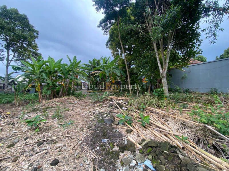 Ubud Property Land For Sale in Ubud Bali