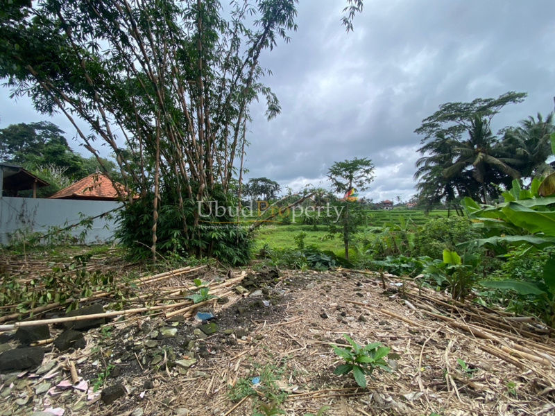 Ubud Property Land For Sale in Ubud Bali