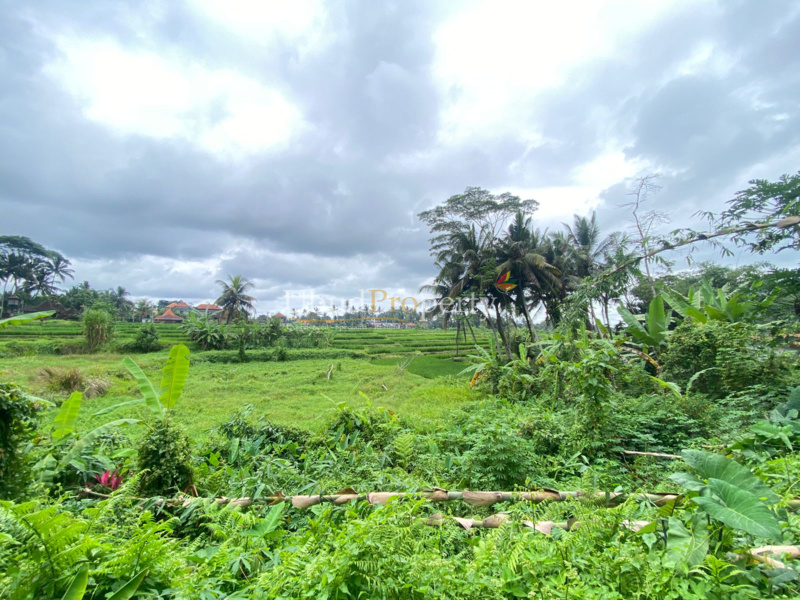 Ubud Property Land For Sale in Ubud Bali