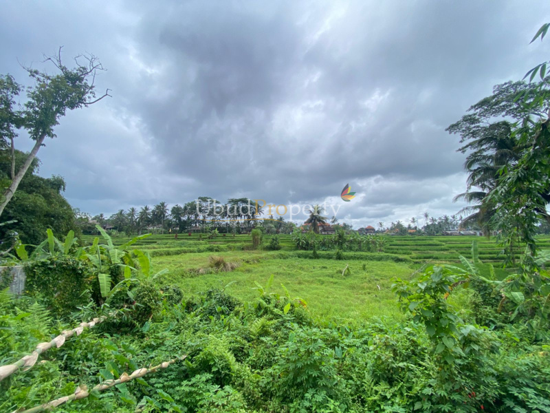 Ubud Property Land For Sale in Ubud Bali
