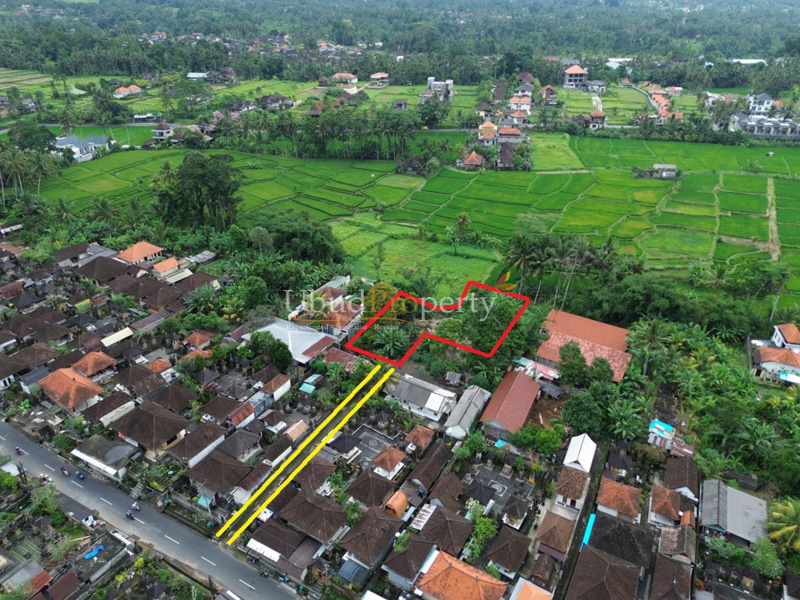 Ubud Property Land For Sale in Ubud Bali