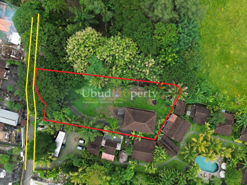 Land For Sale Freehold in Ubud Bali