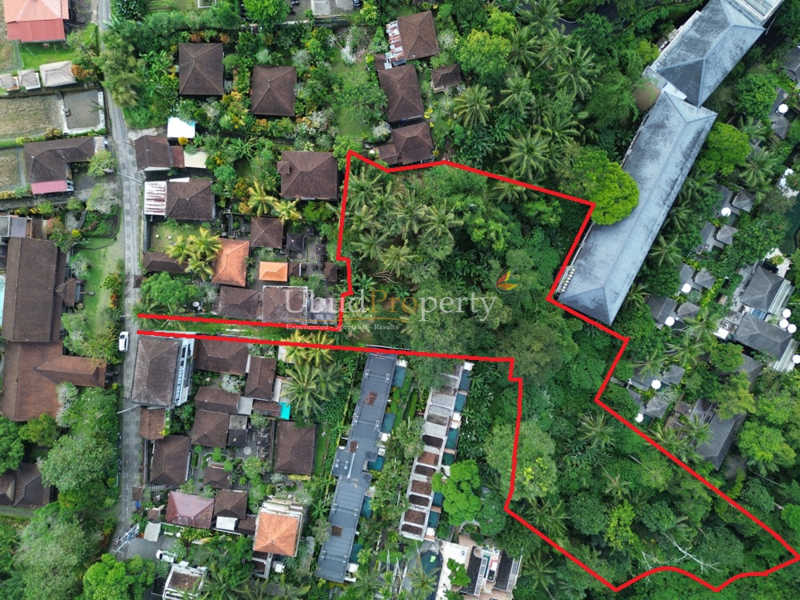 Land For Sale Freehold in Ubud Bali