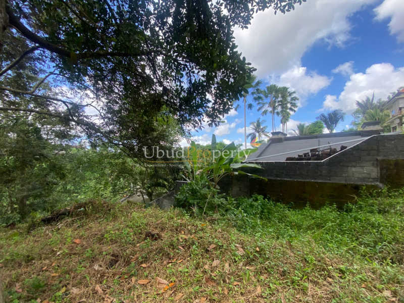 Ubud Property Land For Sale in Ubud Bali