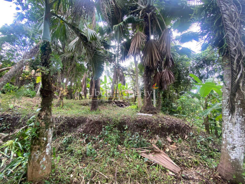 Ubud Property Land For Sale in Ubud Bali