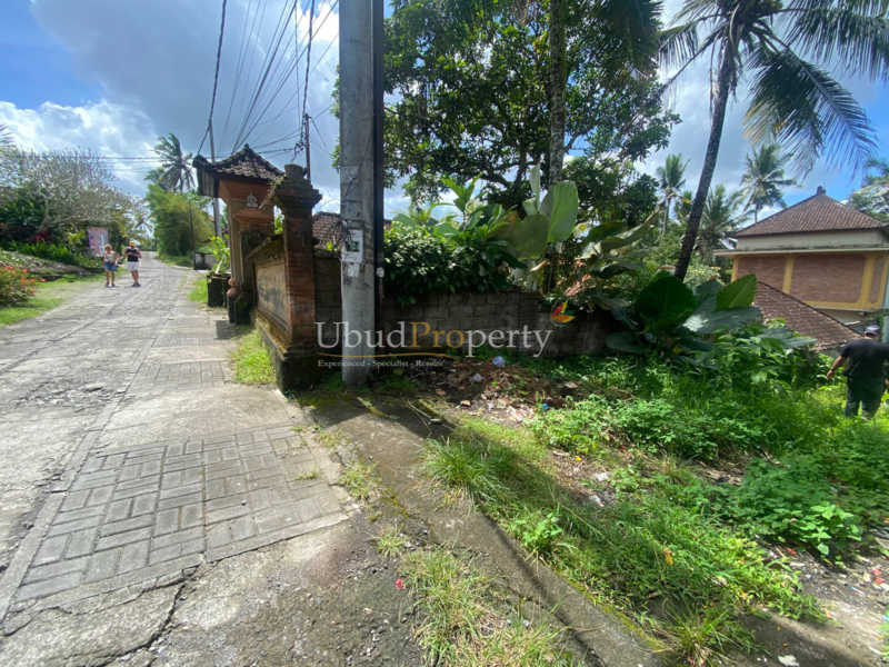 Ubud Property Land For Sale in Ubud Bali