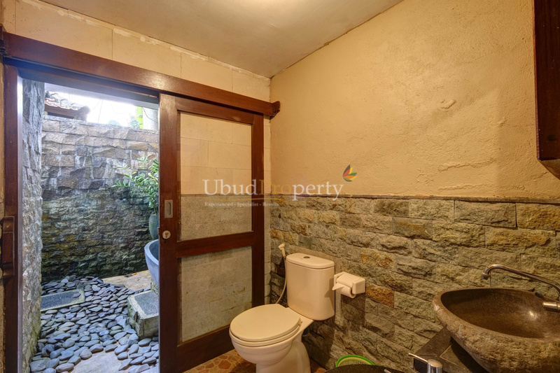 Ubud Property Villa For Sale in Ubud Bali