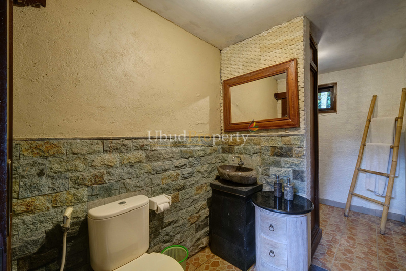 Ubud Property Villa For Sale in Ubud Bali