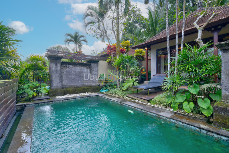 Ubud Property Villa For Sale in Ubud Bali