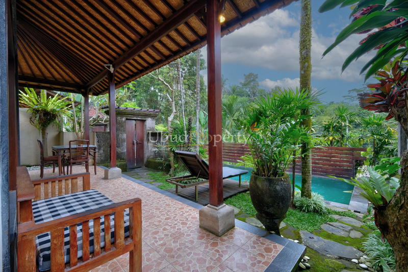 Ubud Property Villa For Sale in Ubud Bali