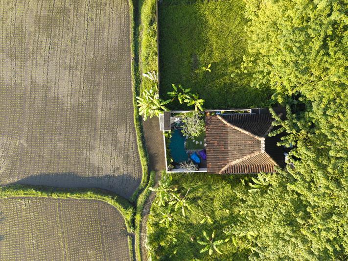 ubud villa rental