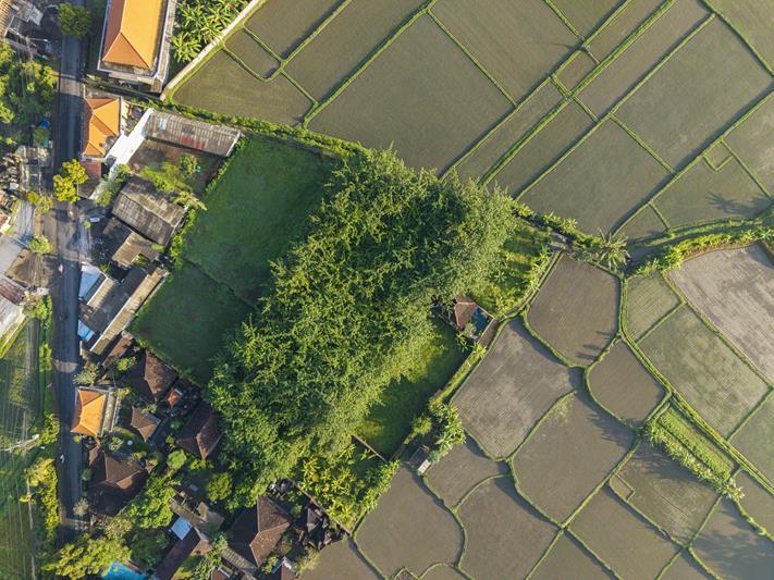 ubud villa rental